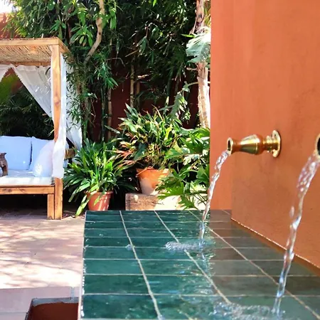 Hostel La De Lola - Adults Only