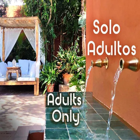 La De Lola - Adults Only Bolonia
